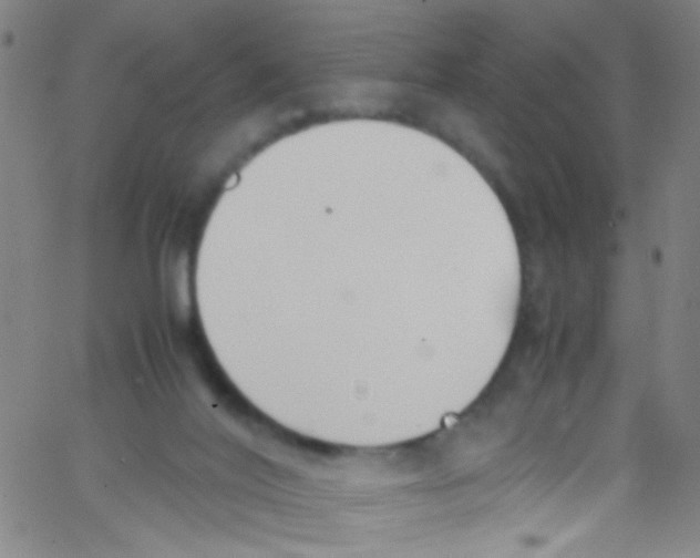 X0000067400020200604281919