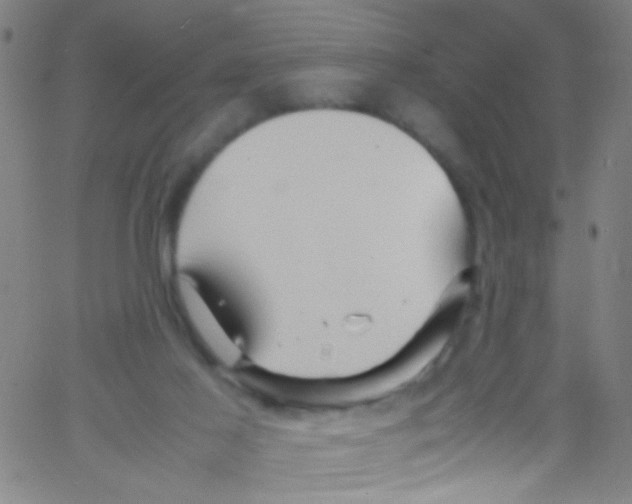 X0000067400021200604281919