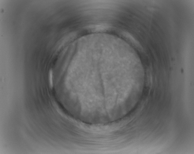 X0000067400022200604281919