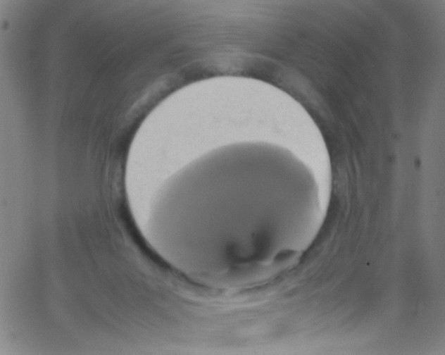 X0000067400023200604281919