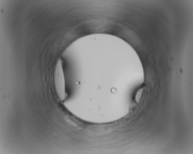 X0000067400025200604281919