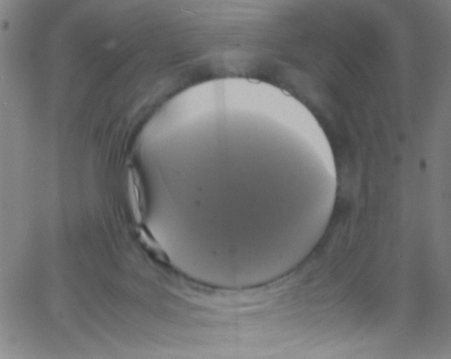 X0000067400027200604281919