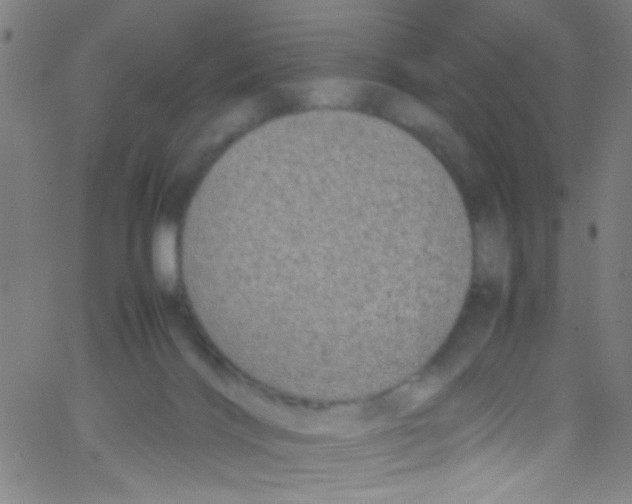 X0000067400028200604281919