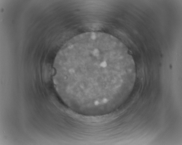 X0000067400030200604281919