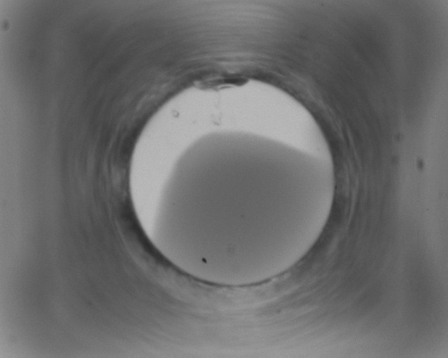 X0000067400031200604281919