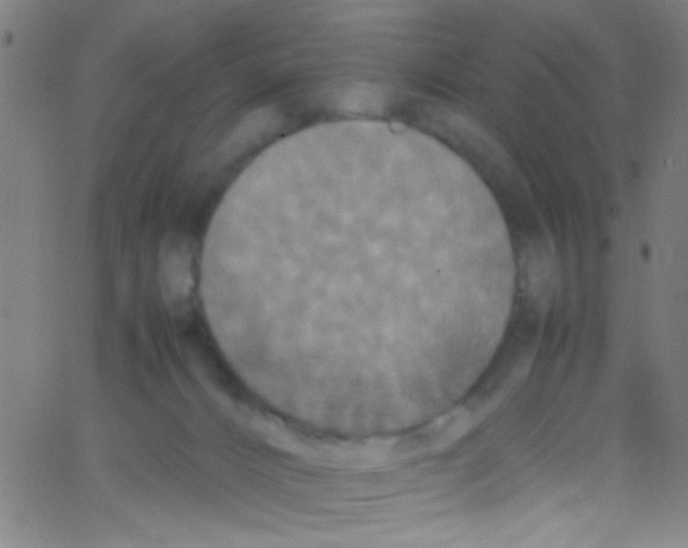 X0000067400032200604281919