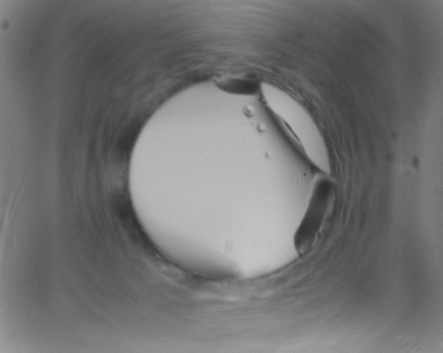 X0000067400033200604281919