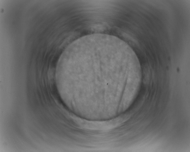 X0000067400034200604281919