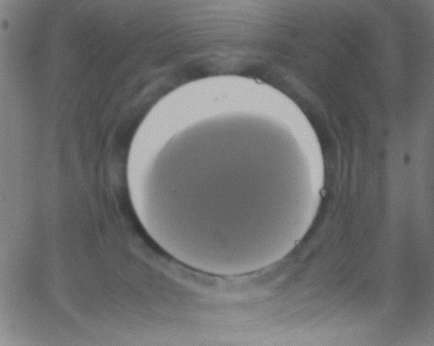 X0000067400035200604281919