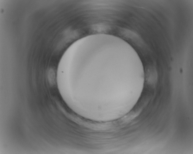 X0000067400036200604281919