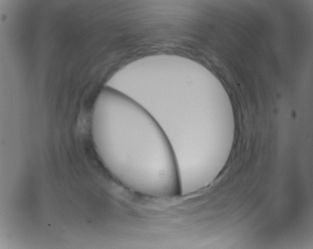 X0000067400037200604281919