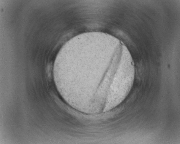 X0000067400038200604281919