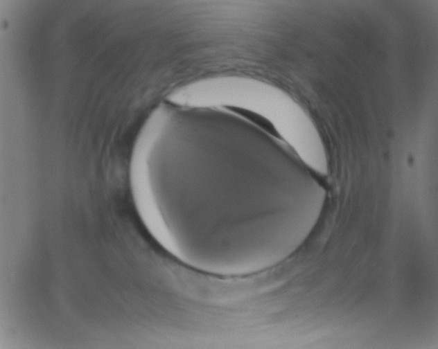 X0000067400039200604281919