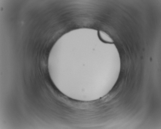 X0000067400040200604281919