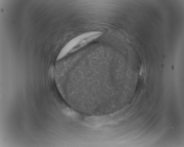 X0000067400041200604281919