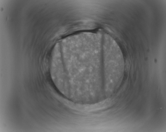 X0000067400043200604281919