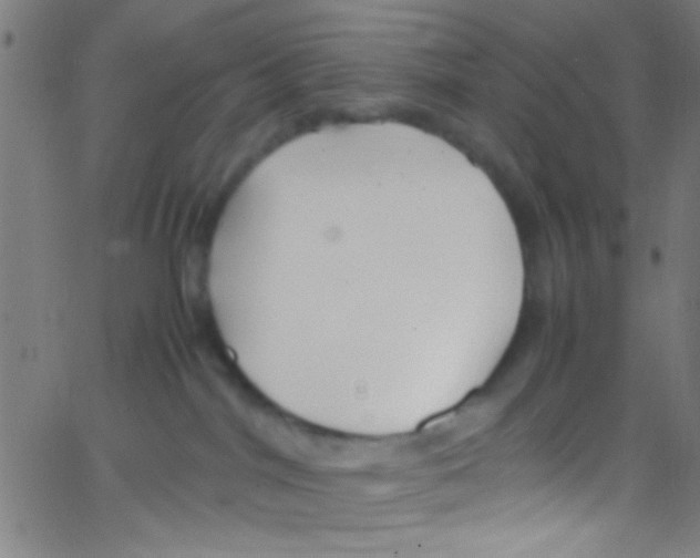 X0000067400044200604281919