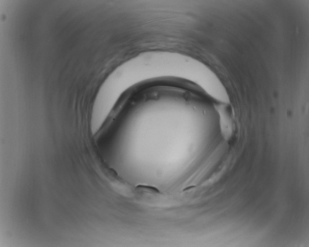 X0000067400045200604281919