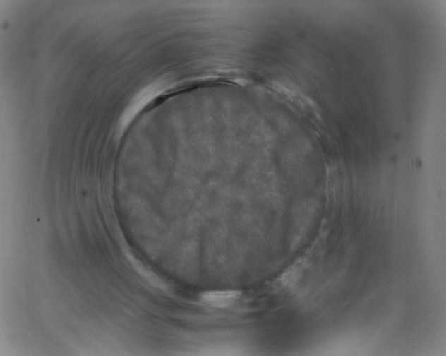 X0000067400051200604281918