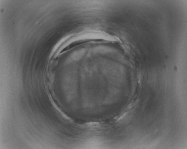 X0000067400052200604281918