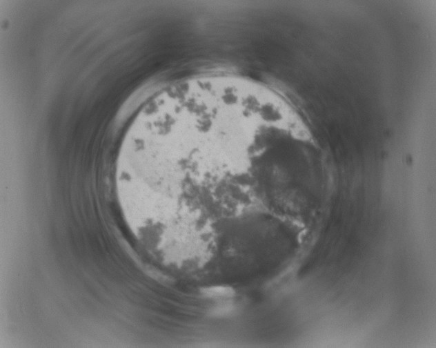 X0000067400053200604281918