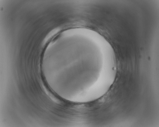 X0000067400054200604281918