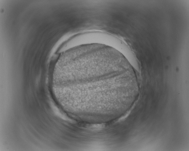 X0000067400056200604281918