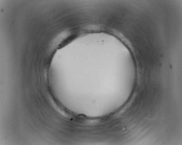 X0000067400057200604281918