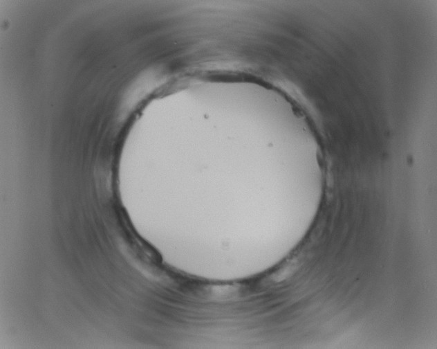 X0000067400060200604281918