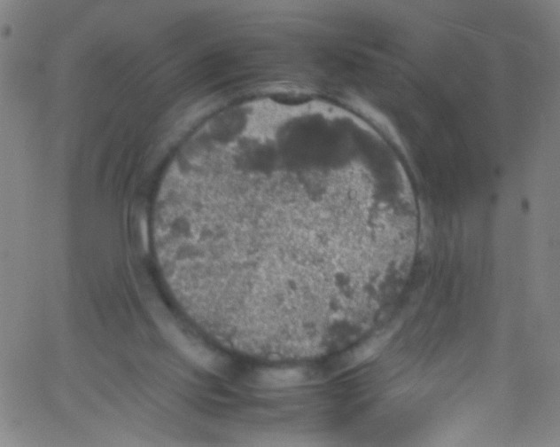 X0000067400061200604281918