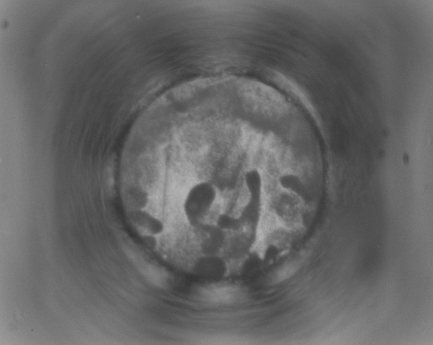 X0000067400065200604281918