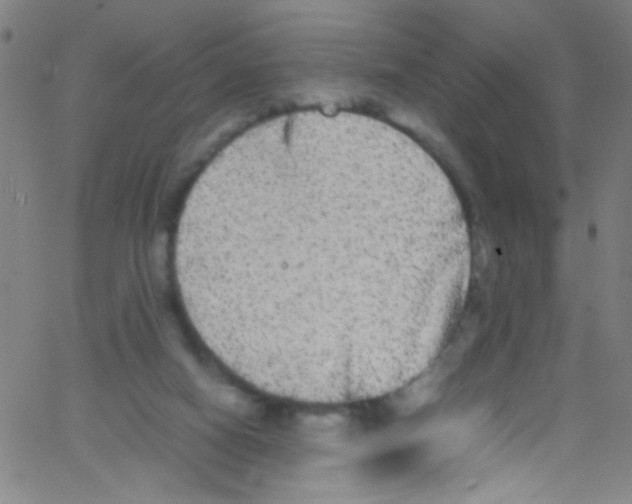 X0000067400066200604281918