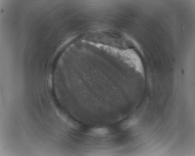 X0000067400067200604281918