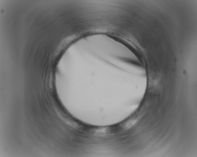 X0000067400068200604281918