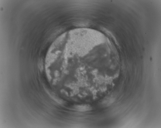 X0000067400069200604281918