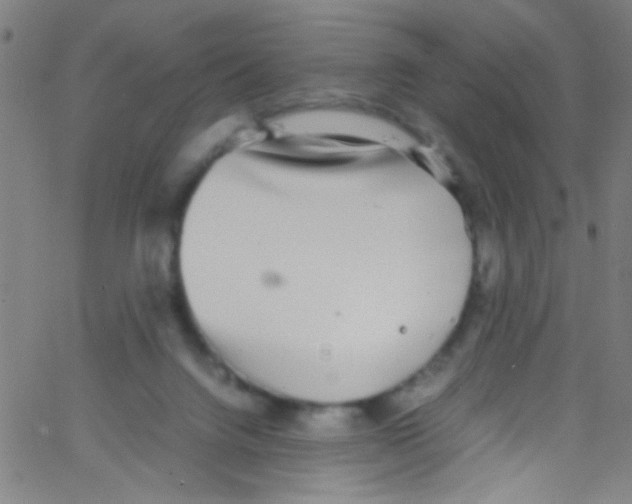 X0000067400072200604281918