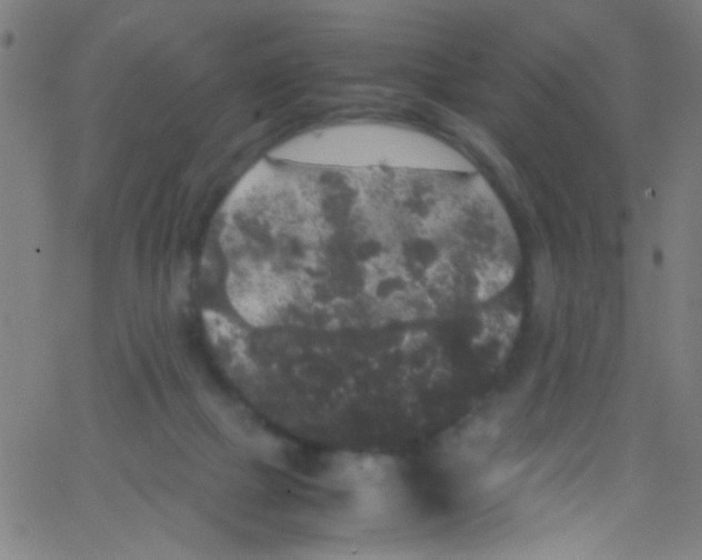 X0000067400073200604281918