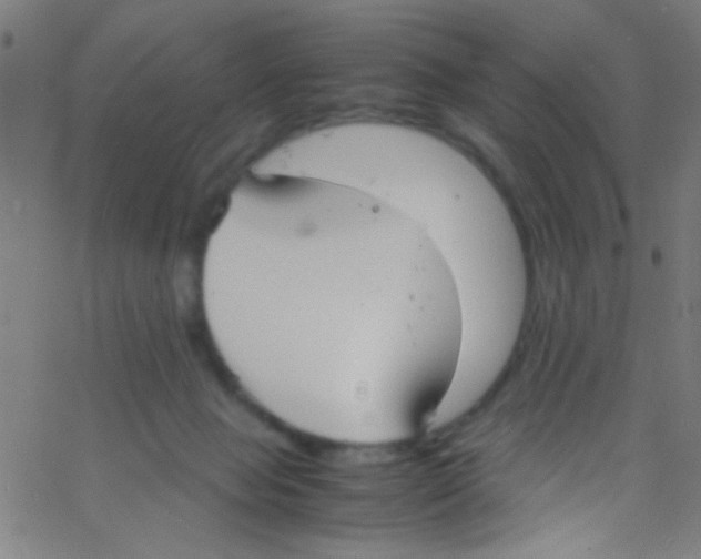 X0000067400077200604281918