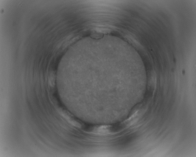 X0000067400078200604281918