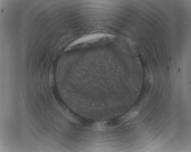 X0000067400080200604281918