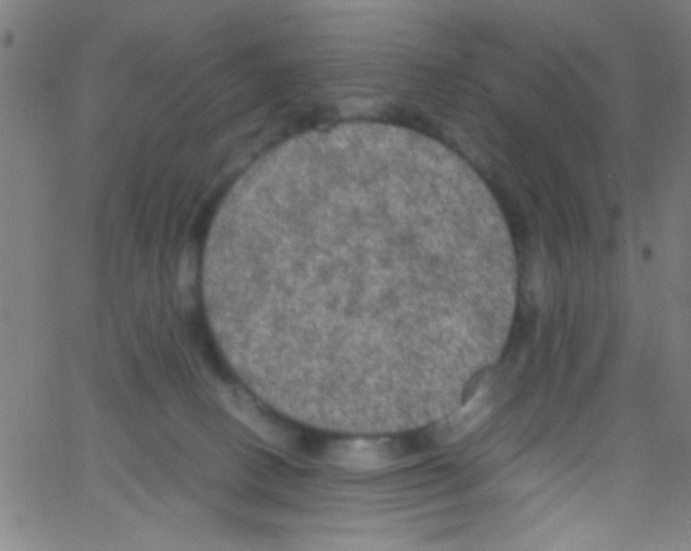 X0000067400082200604281918