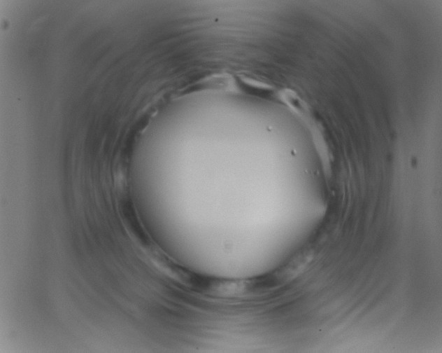 X0000067400084200604281918