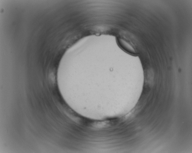 X0000067400086200604281918