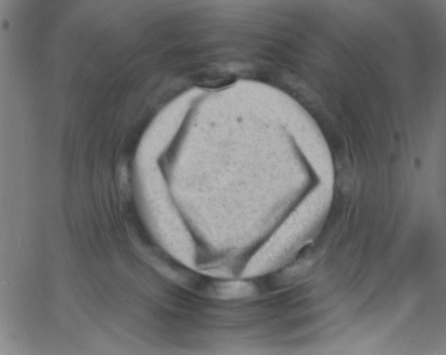 X0000067400087200604281918