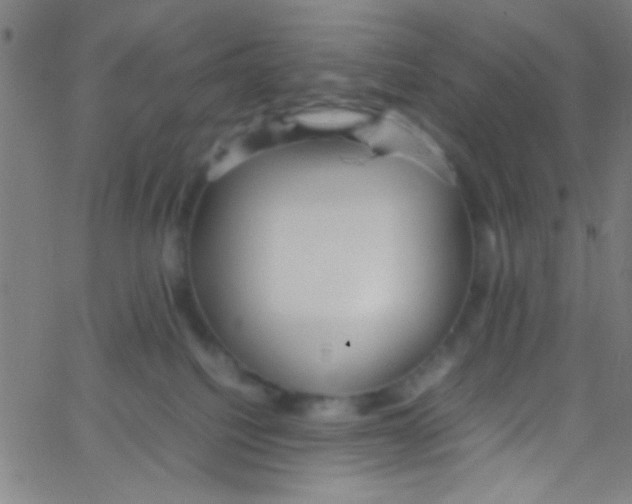 X0000067400088200604281918