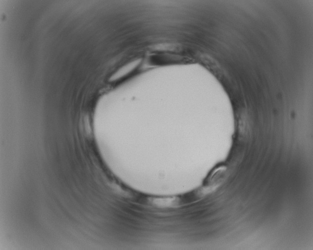 X0000067400089200604281918