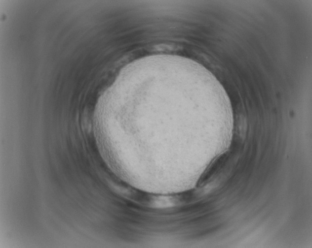 X0000067400091200604281919