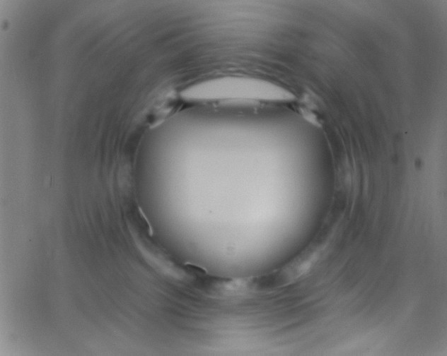 X0000067400092200604281919