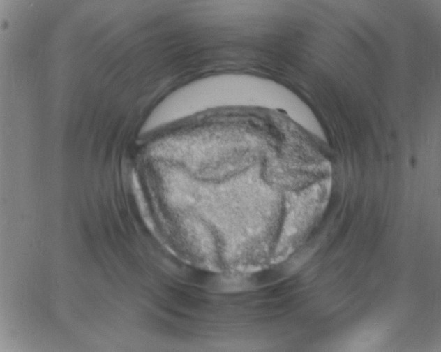 X0000067400093200604281919