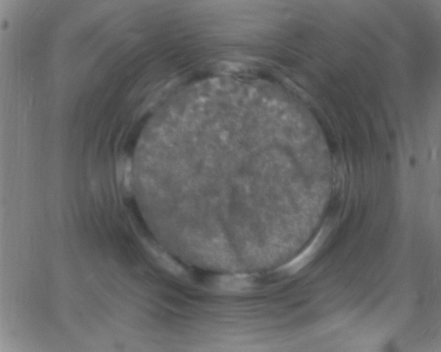 X0000067400094200604281919